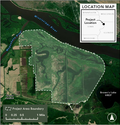 Green Island Habitat Rehabilitation and Enhancement Project